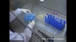 Demonstration of Biosafety Cabinet BSC Usage Bacterium Dilution Row [upl. by Keily495]