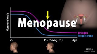 Menopause Perimenopause Symptoms and Management Animation [upl. by Aihsetan674]