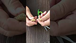 See Inside A Rattlesnake Rattle  No Fuss [upl. by Arimay]