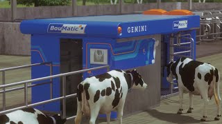 Gemini de melkrobot van BouMatic Dutch [upl. by Shulem424]