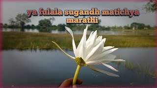 Ya Fulala Sugandh  Marathi Song viralvideo vlog​ [upl. by Norry]