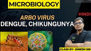 Arbo Virus  Dengue  Chikungunya [upl. by Asik]