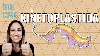 Kinetoplastida  Quem são esses protozoários [upl. by Nilatak]