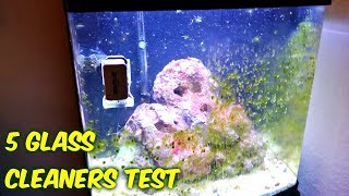 5 Aquarium Glass Cleaners Test [upl. by Niven]