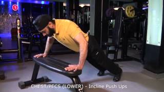 CHESTPECS LOWER  Incline Push Ups [upl. by Ruckman]