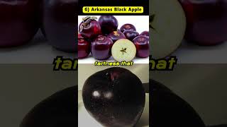 Apple Varieties You Didn’t Know Existed 🍏🍎 facts shorts fruit apple share [upl. by Merissa601]