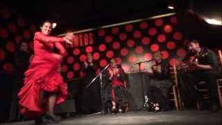 Amazing Flamenco Show in Los Tarantos Barcelona [upl. by Yllah]