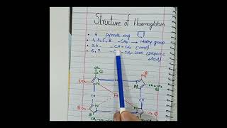 Structure of Haemoglobin🔥🔥shorts haemoglobin shortsfeed [upl. by Beichner80]