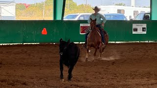 Doing some work at a horse show [upl. by Primo]