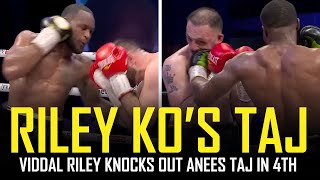 🔥 VIDDAL RILEY DESTROYS ANEES TAJ IN 4TH POST FIGHT REVIEW NO FOOTAGE 🔥 [upl. by Arlin]