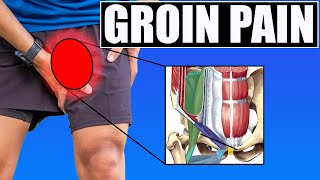 GROIN amp HIP PAIN Best Tests amp Exercises for Hip Flexor Adductor Pubic Symphysis amp Abdominal Pain [upl. by Lladnik]