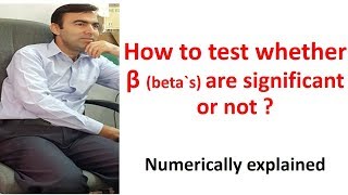 test of significance  how to test the significance  testing of parameter estimates  beta [upl. by Jezabella]