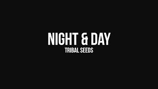 Tribal Seeds  Night amp Day OFFICIAL AUDIO [upl. by Iatnohs]