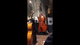 A Dvorak  New World Symphony  Octobass [upl. by Ahsimit]