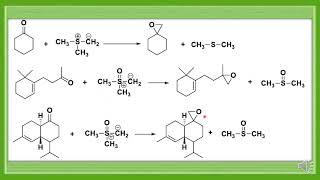 SJCTNCDrAAMALORPAVADOSS19PCH31 ORGCHEIIIUNIT 5PREPARATIONampCHEPROPERTIES OF SULPHUR YLIDES [upl. by Nura325]