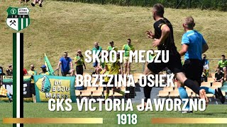 Brzezina Osiek  GKS Victoria Jaworzno skrót meczu [upl. by Kubis47]