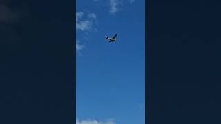 Soaring Over Frog Park A Trainee Pilots First Adventure [upl. by Randee113]