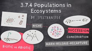 EASY REVISION AQA ALevel Biology 374 Populations in Ecosystems [upl. by Sylas]