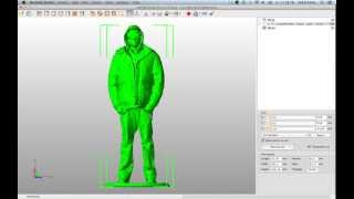 3D Scan Cleanup Using Netfabb Basic to Prepare for 3D Printing [upl. by Lamahj]