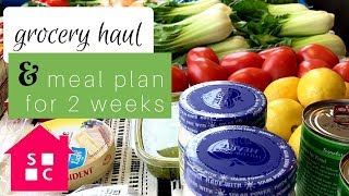 Biweekly Grocery Haul amp Meal Plan for 2 Weeks 021418 [upl. by Ainegue]