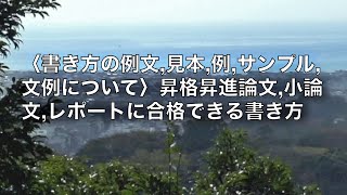 昇進論文 昇格試験論文の書き方例文見本例サンプル文例について｜昇進試験昇格試験の論文小論文レポートに合格できる書き方 VLOG [upl. by Bondy]