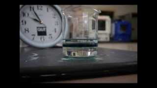 Time Lapse of Polyaniline Synthesis [upl. by Tertius368]