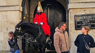 RIP ANOTHER NIPPER aptlynamed INDIGO deters troublesome tourists at Horse Guards [upl. by Toomin595]