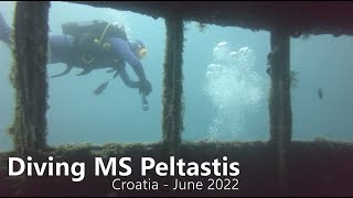 Diving MS Peltastis  Krk Kroatien 2022 [upl. by Grati]