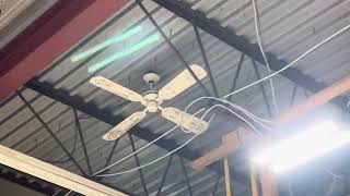 Encon premier ceiling fan at booths corner farmers market ￼￼ [upl. by Russian]