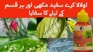 Ulala insecticide for whitefly aphids sucking insects  flonicamid insecticide ICI LCI Kissan Ghar [upl. by Onibas]