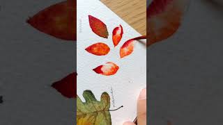 Quick watercolor red autumn leaf [upl. by Eltrym]