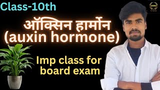 ऑक्सिन हार्मोन  Auxin hormone  Class 10th biology by hardik sir [upl. by Evante]