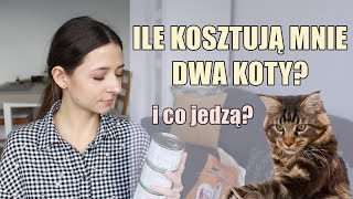 ILE MIESIĘCZNIE WYDAJE NA KOTY 💸🐈  KARMY DLA KOTA [upl. by Yennep82]