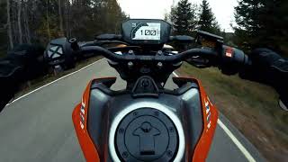 KTM 790 DUKE  AUTUMN RIDE  PURE SOUND  4K [upl. by Julide]