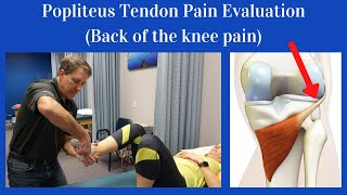 Why Common Patellar Tendonitis Rehab FAILS and 5 exercises that WORK [upl. by Aidas]