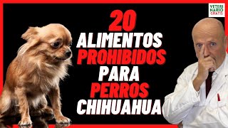 ⛔️ 20 ALIMENTOS PROHIBIDOS PARA PERROS CHIHUAHUA ⛔️ [upl. by River]