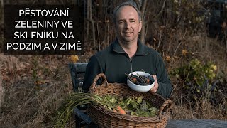 Pěstování zeleniny ve skleníku na podzim a v zimě [upl. by Frey]