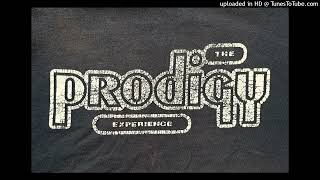 The Prodigy  Climbatize  Everybody In The Place 10 Live Remix [upl. by Anomas]