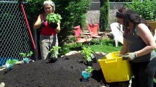 HOW TO MAKE A KEYHOLE GARDEN  wwwkeyholegardensorg  12of12MP4 [upl. by Rosina46]