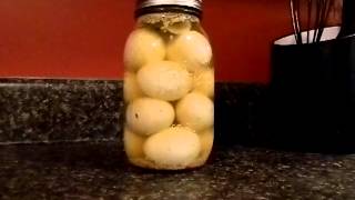 Prepper Skill  Pickling Eggs [upl. by Anaj]