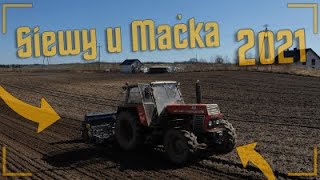 Siewy Pszenżyta Jarego Z Nowym NabytkiemAgregat Od Arka Zetor 1201145 Poznaniak 27 [upl. by Evatsug]