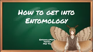 How to get into entomology A lecture about the hobby and the academic field [upl. by Attirehs]