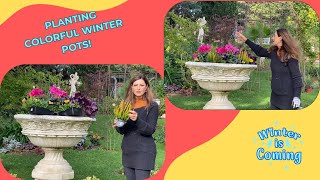 Planting Colorful Winter Pots 🌸❄️  Winter Gardening Tips [upl. by Barcot]