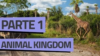 ROTEIRO ANIMAL KINGDOM  PARTE 1 [upl. by Brucie947]