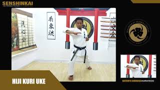 SENSHINKAI INTERNATIONAL SHITORYU SHUKOKAI KARATEDO KIHON UKE WAZA [upl. by Luamaj]