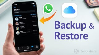 How to Backup amp Restore WhatsApp Messages on iPhone 3 Ways [upl. by Odlonra812]