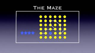 Physed Games  The Maze [upl. by Naud]