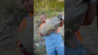 missouri missouririver ytshorts ytviral ytshort catfish fishing midwest bankpole flathead [upl. by Litha]