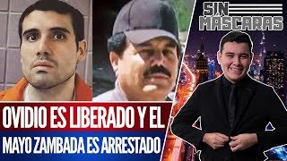 SinMáscaras  OFICIAL MAYO ZAMBADA ENTRA y el HIJO del CHAPO SALE de PRISIÓN en ESTADOS UNIDOS [upl. by Draner]