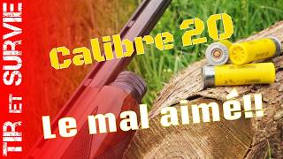 03  Tout sur le calibre 20 [upl. by Fitalludba]